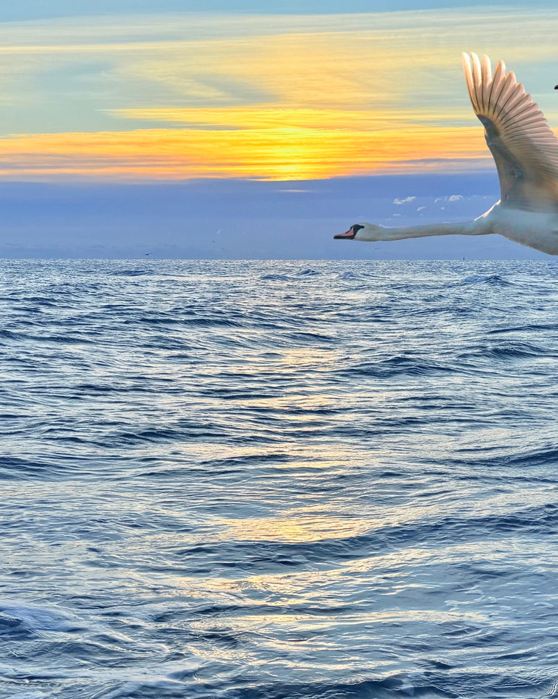 2503734 :: Giclée Fine Art Matte Paper Print