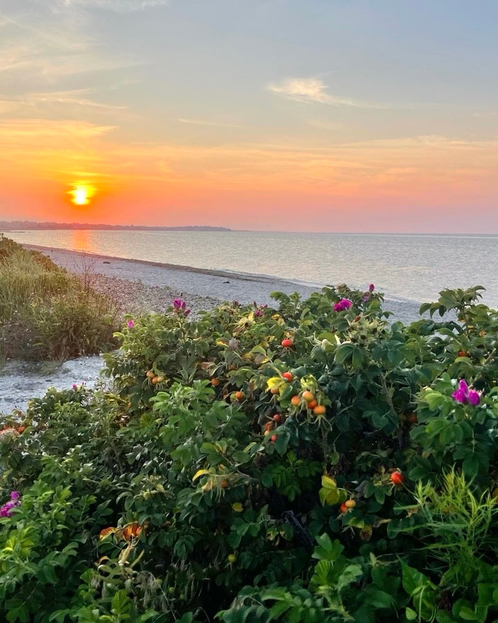 2380424 :: Giclée Fine Art Matte Paper Print