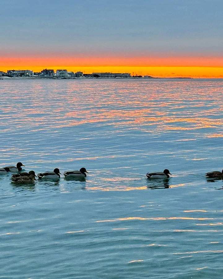 2511936 :: Giclée Rolled Canvas Print