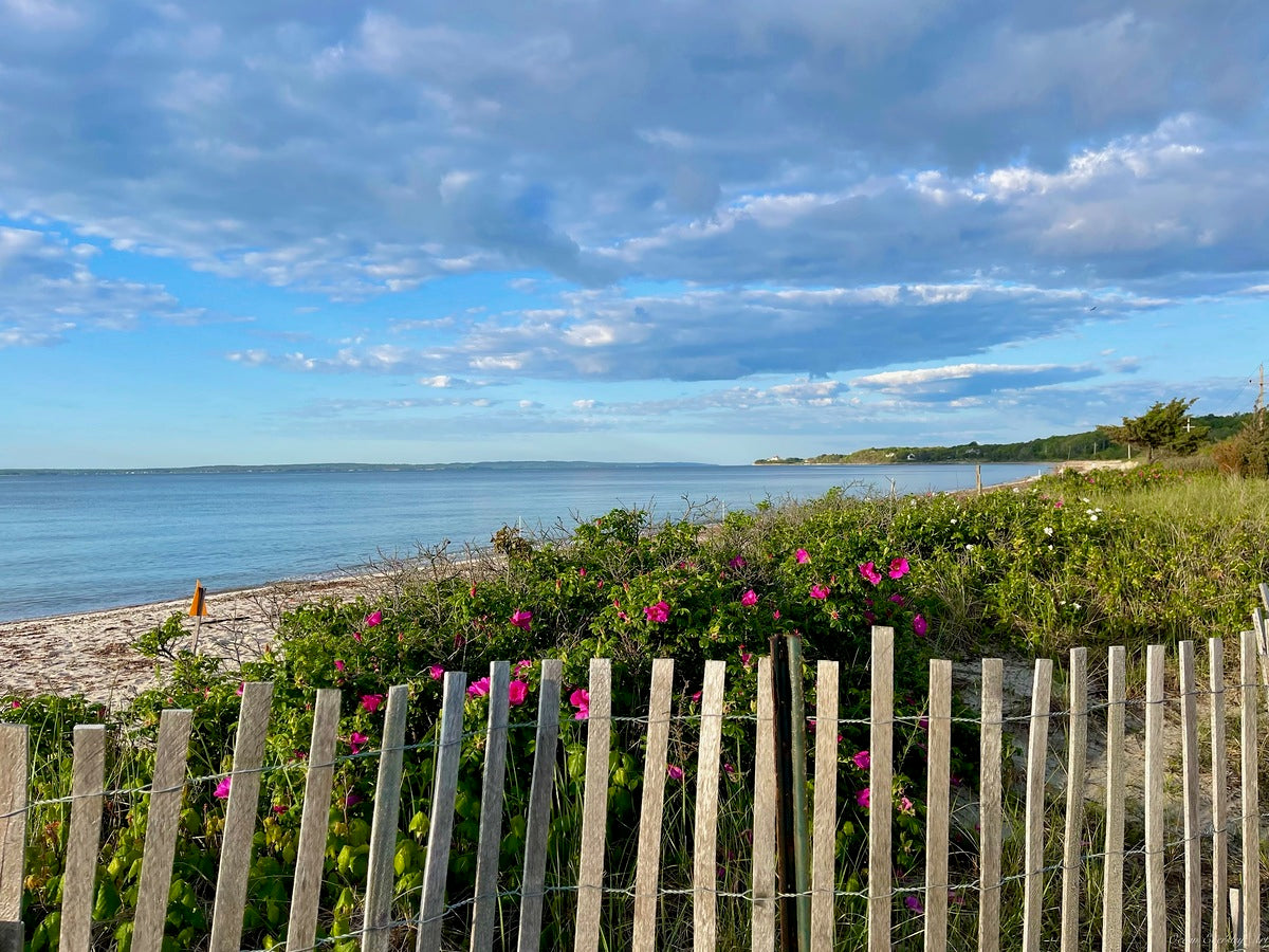 Giclee Fine Art Matte Paper Print