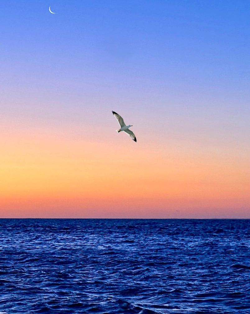 2516208 :: Giclée Rolled Canvas Print