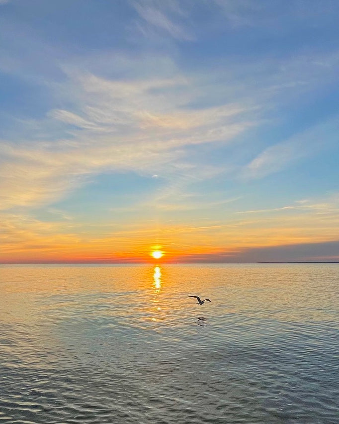 Giclee Poster Satin Photo Paper Print