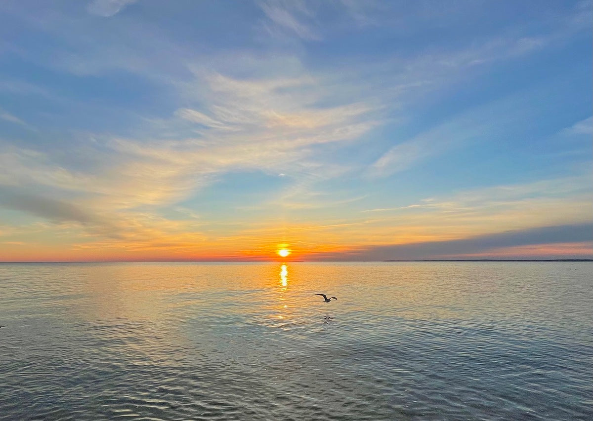 Giclee Poster Satin Photo Paper Print