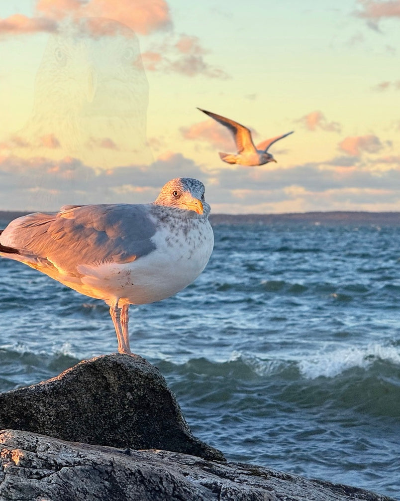 2486004 :: Giclée Fine Art Matte Paper Print