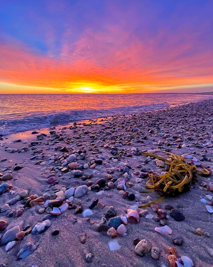 2380404 :: Giclée Rolled Canvas Print