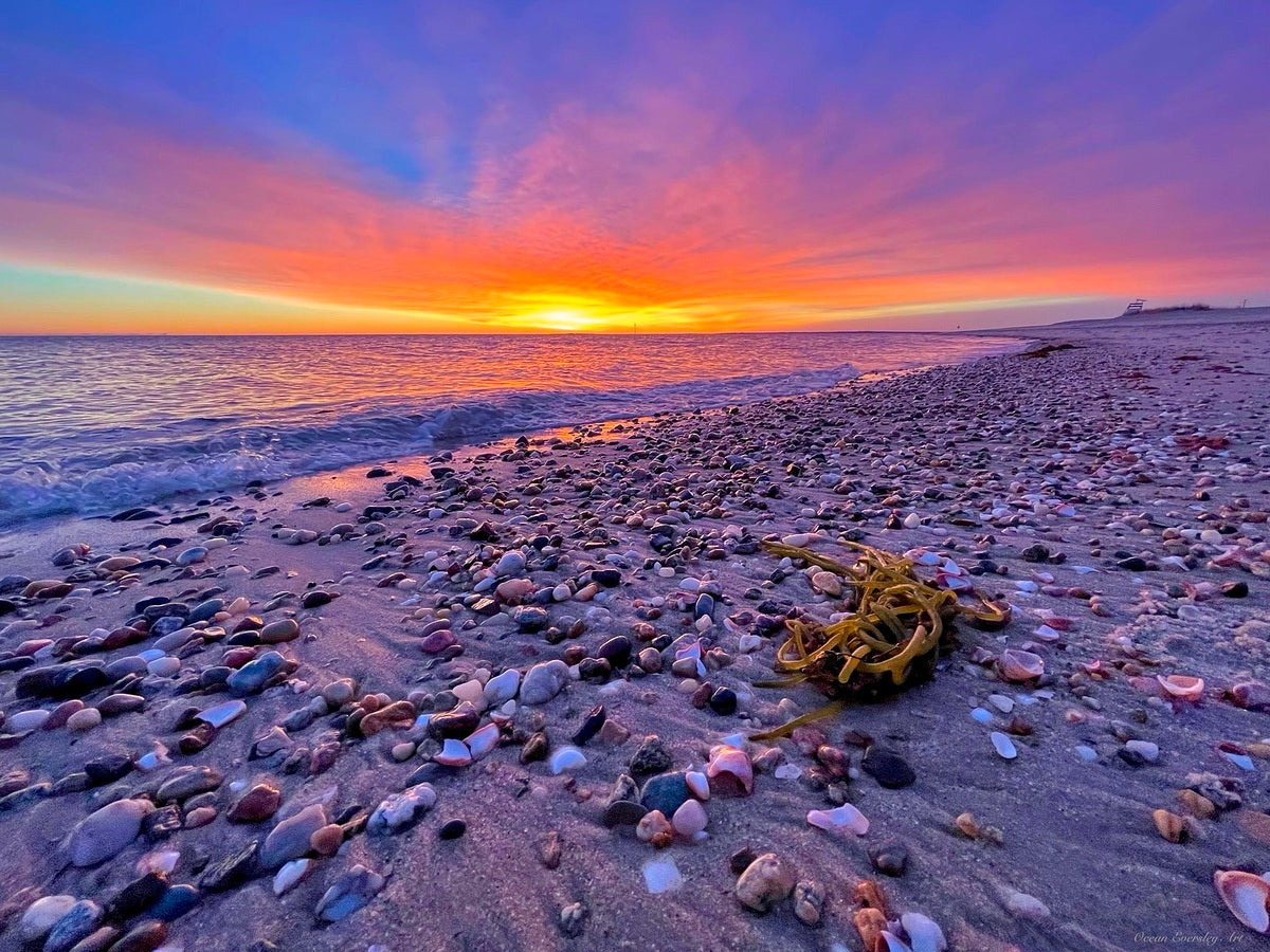 2380404 :: Giclée Rolled Canvas Print