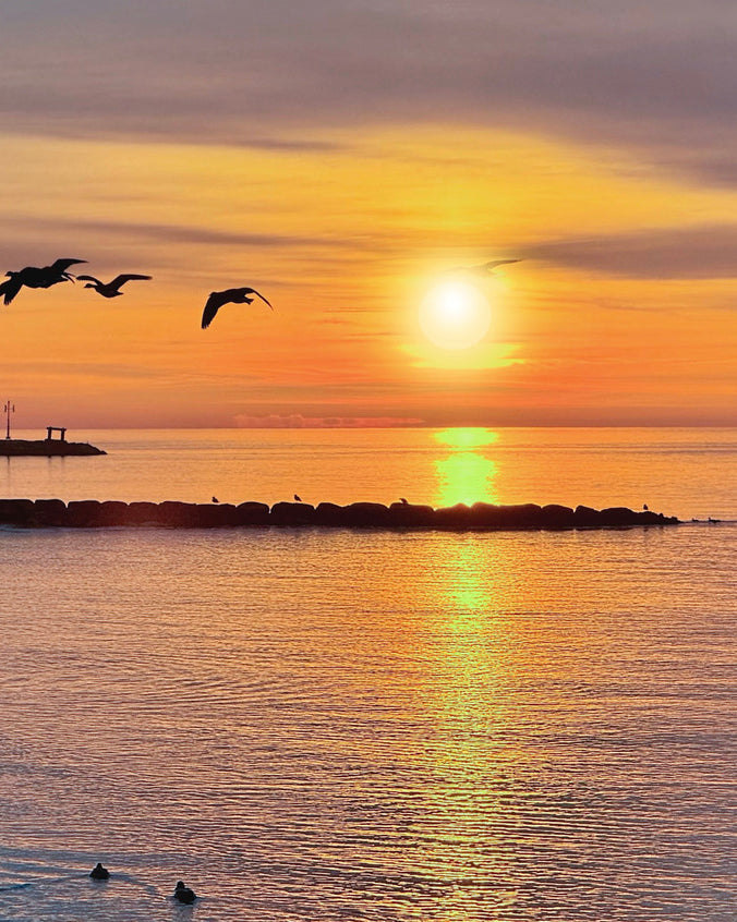 2603174 :: Giclée Rolled Canvas Print