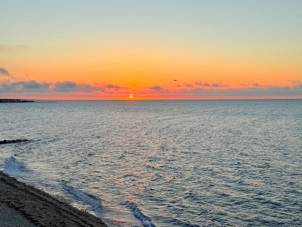 2472545 :: Giclée Rolled Canvas Print