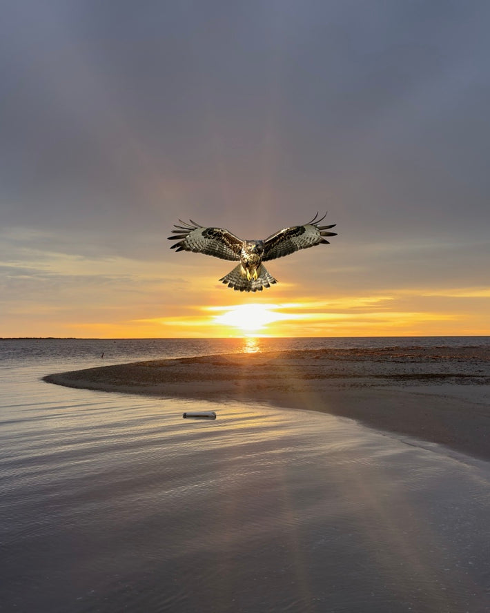 2521716 :: Giclée Rolled Canvas Print