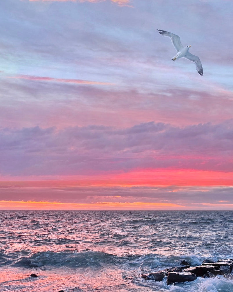 2479252 :: Giclée Rolled Canvas Print