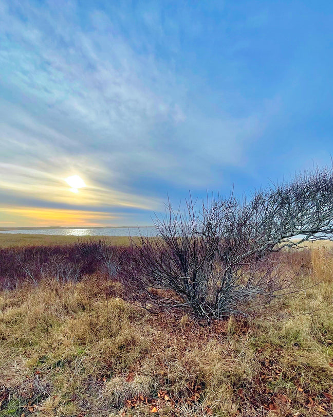 2385246 :: Giclée Rolled Canvas Print