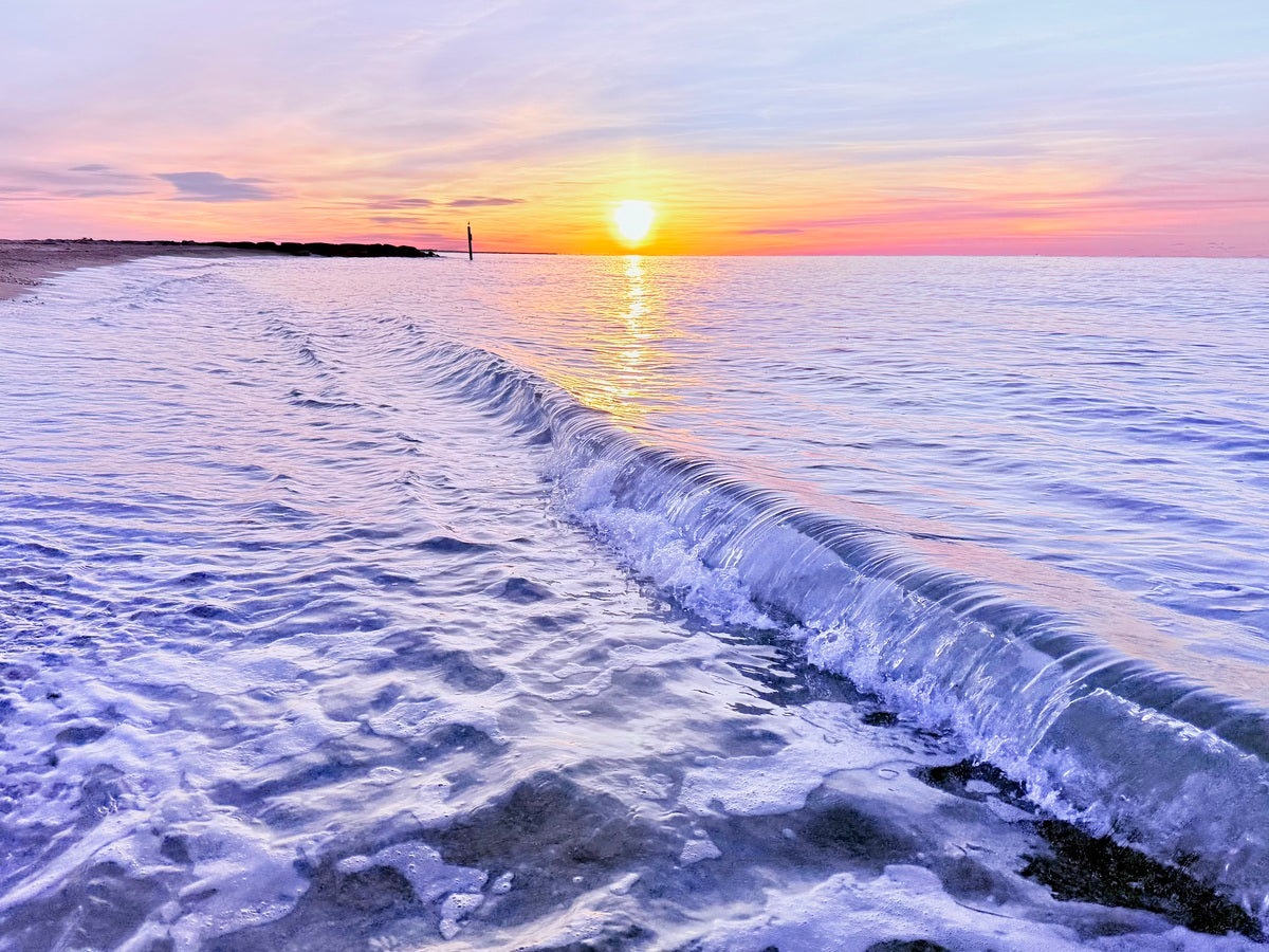 2487267 :: Giclée Rolled Canvas Print