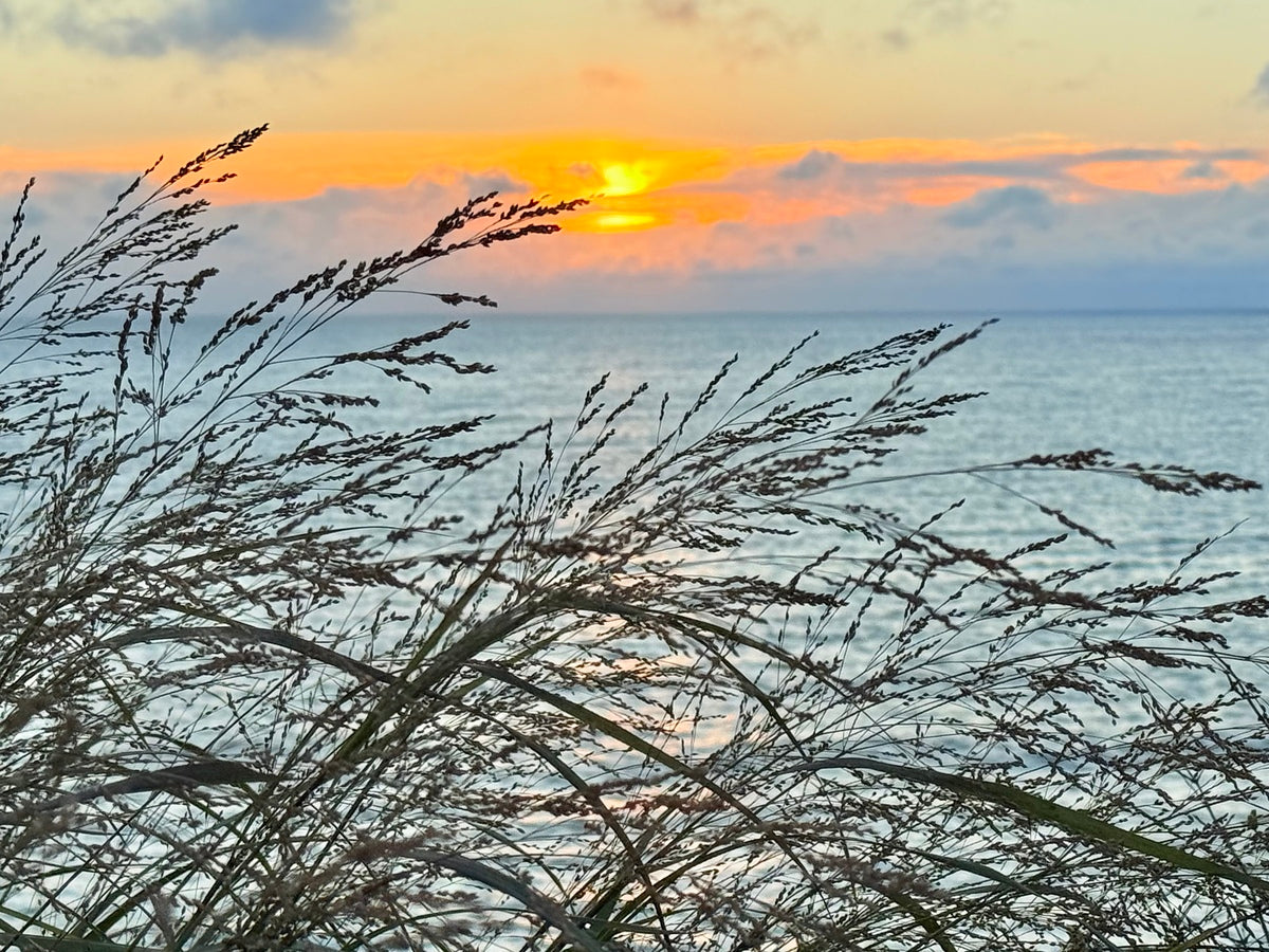 2454512 :: Giclée Rolled Canvas Print