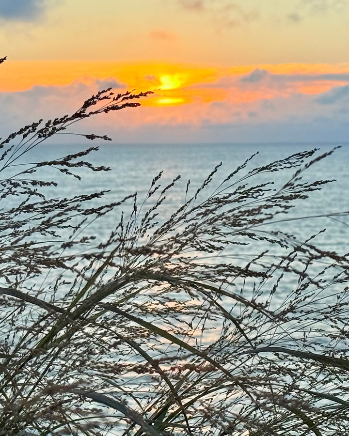 2454512 :: Giclée Fine Art Matte Paper Print