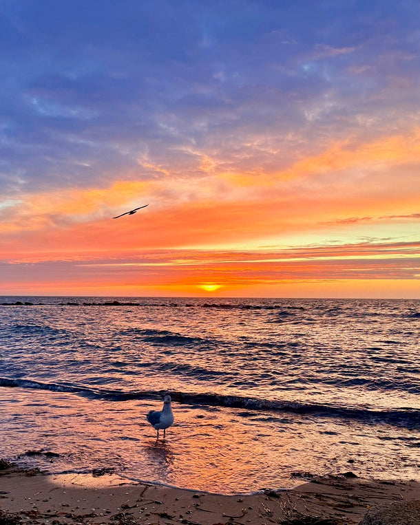 2540943 :: Giclée Rolled Canvas Print