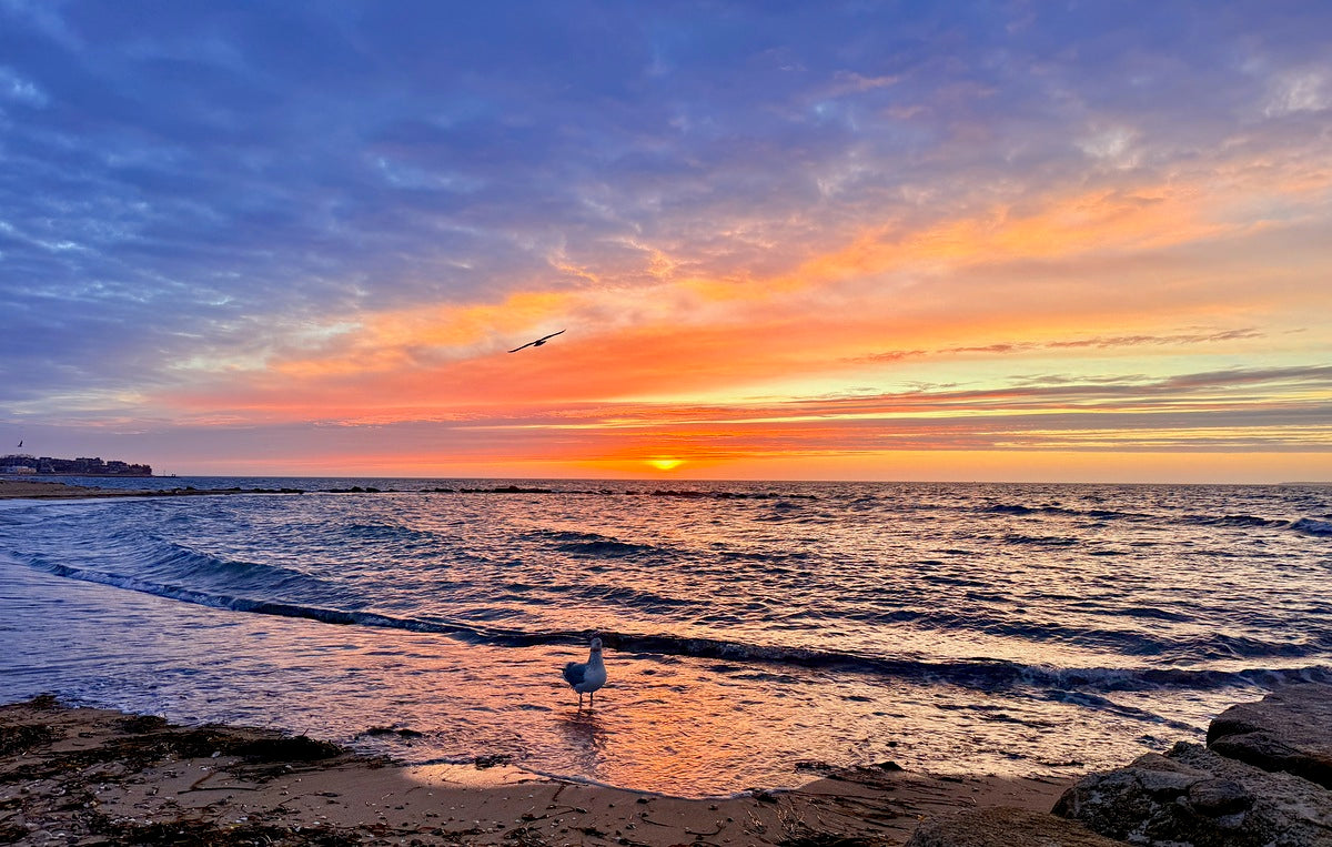 2540943 :: Giclée Poster Satin Photo Paper Print