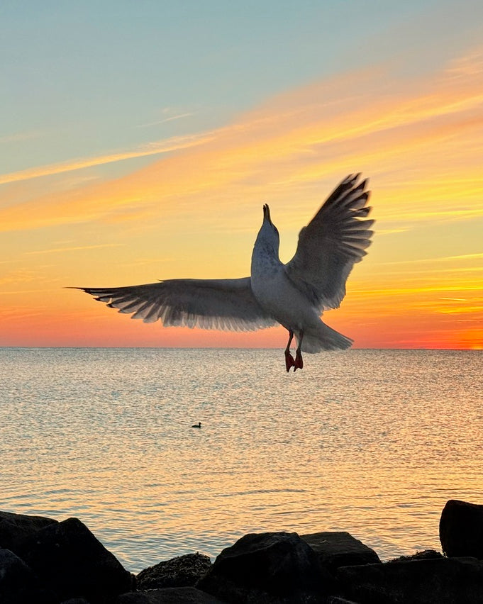 2552657 :: Giclée Rolled Canvas Print