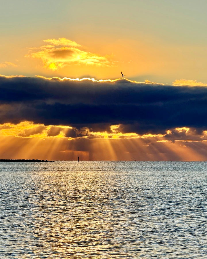 2472539 :: Giclée Fine Art Matte Paper Print