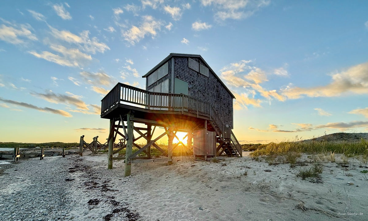 2375376 :: Giclée Poster Satin Photo Paper Print