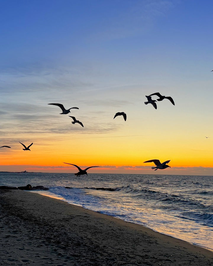 2505539 :: Giclée Rolled Canvas Print