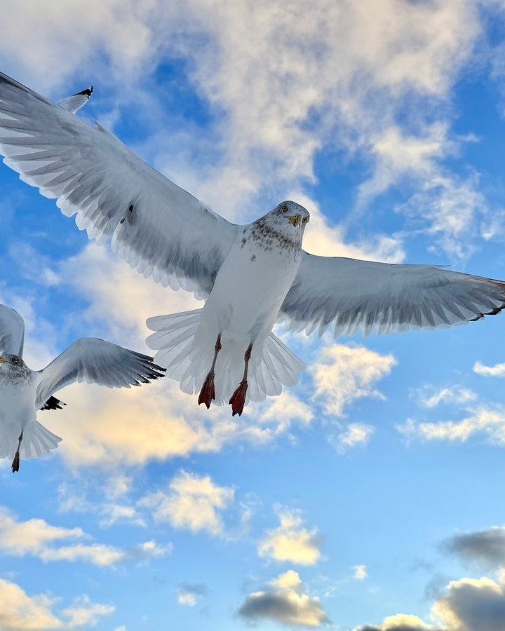 2521715 :: Giclée Fine Art Matte Paper Print