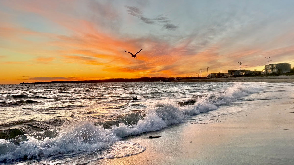 2540922 :: Giclée Fine Art Matte Paper Print