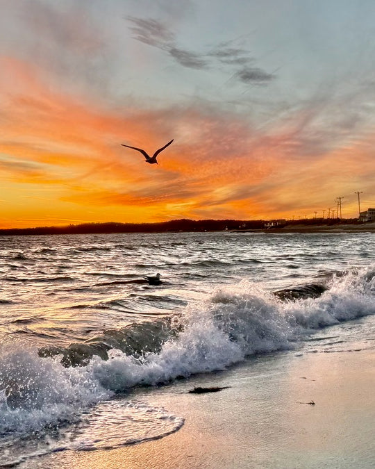 2540922 :: Giclée Poster Satin Photo Paper Print