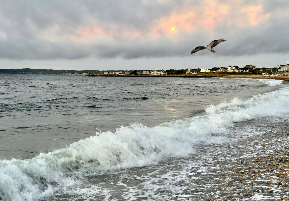 2472542 :: Giclée Rolled Canvas Print