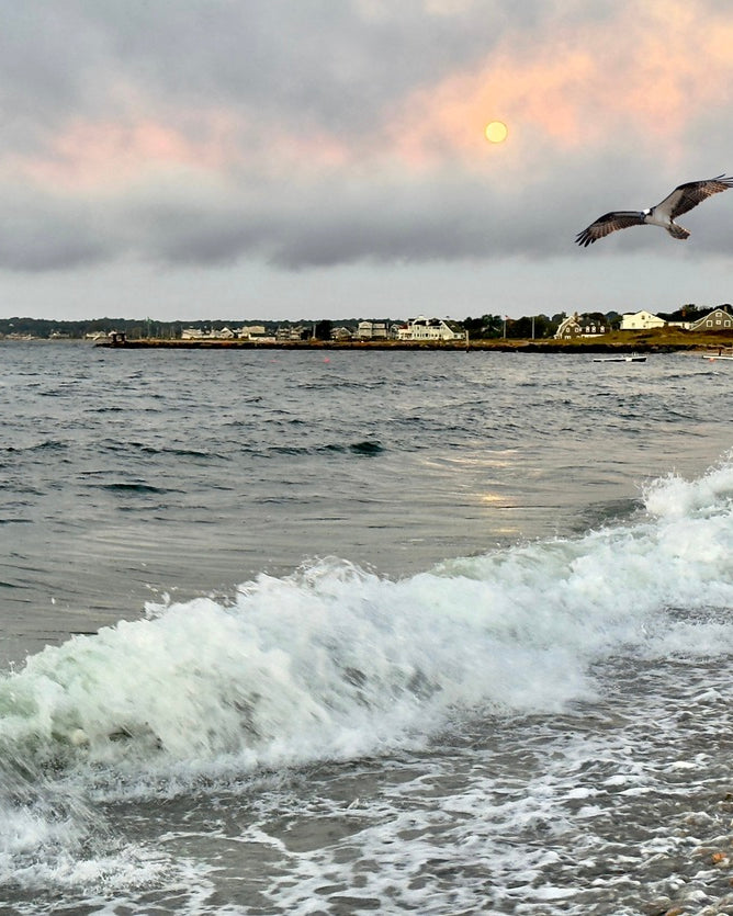 2472542 :: Giclée Poster Satin Photo Paper Print