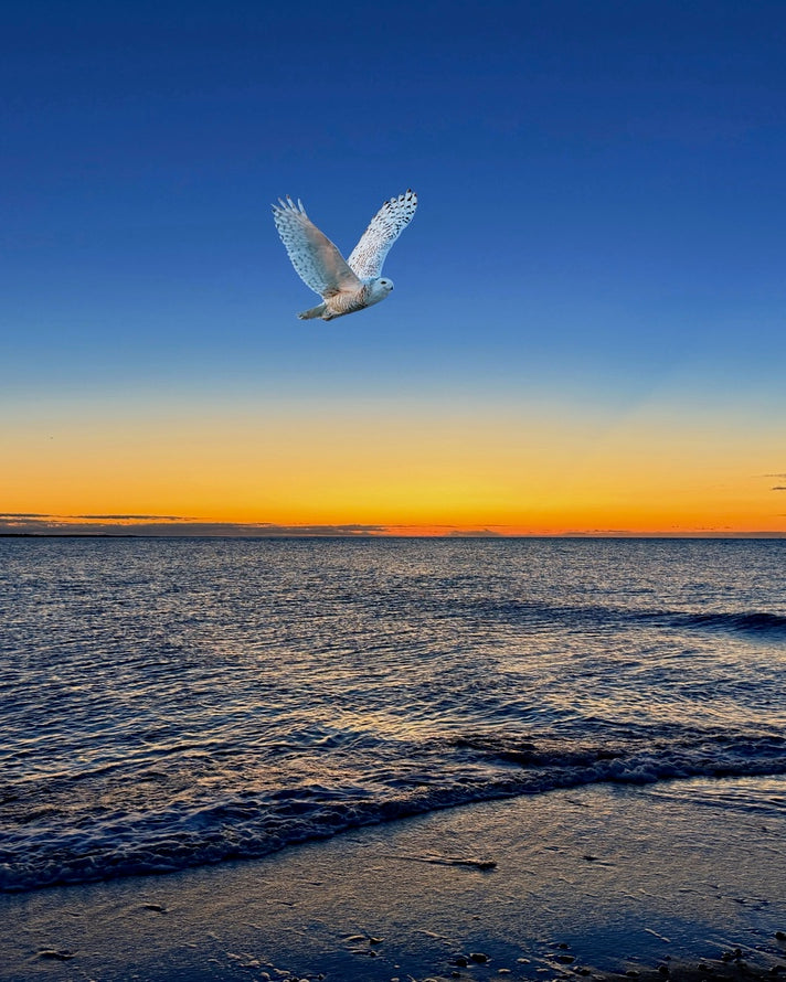 2507586 :: Giclée Rolled Canvas Print