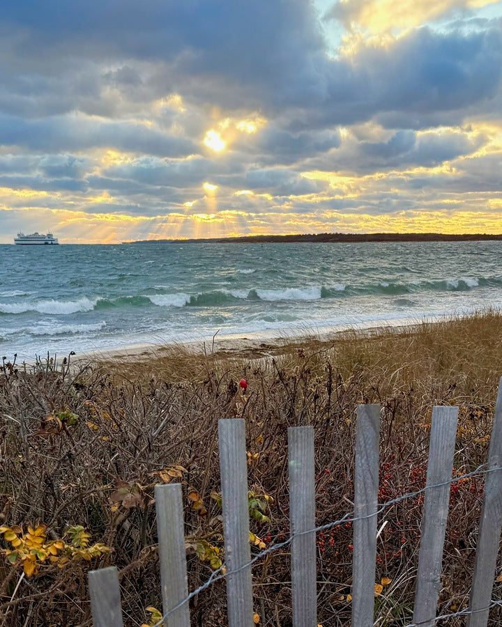 2491474 :: Giclée Fine Art Matte Paper Print