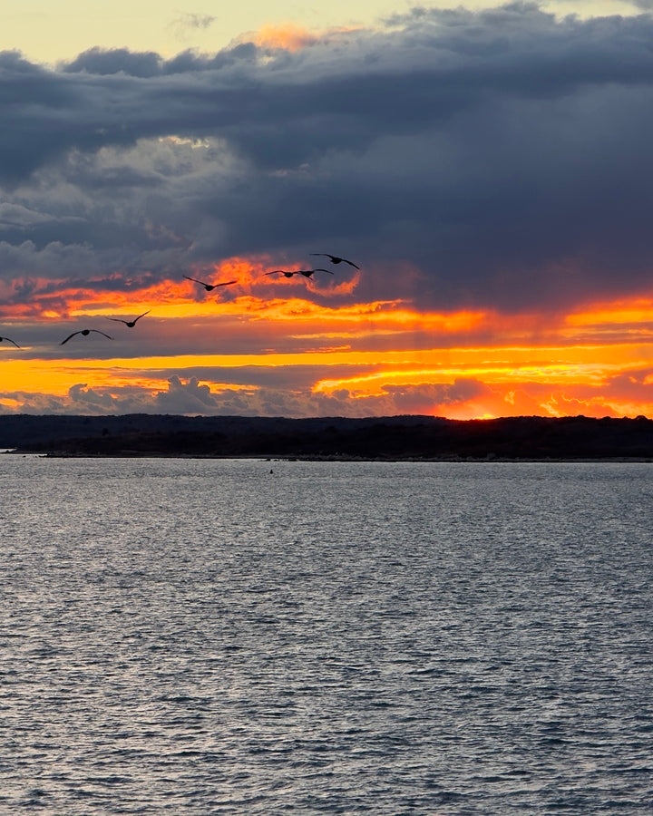 2477186 :: Giclée Fine Art Matte Paper Print