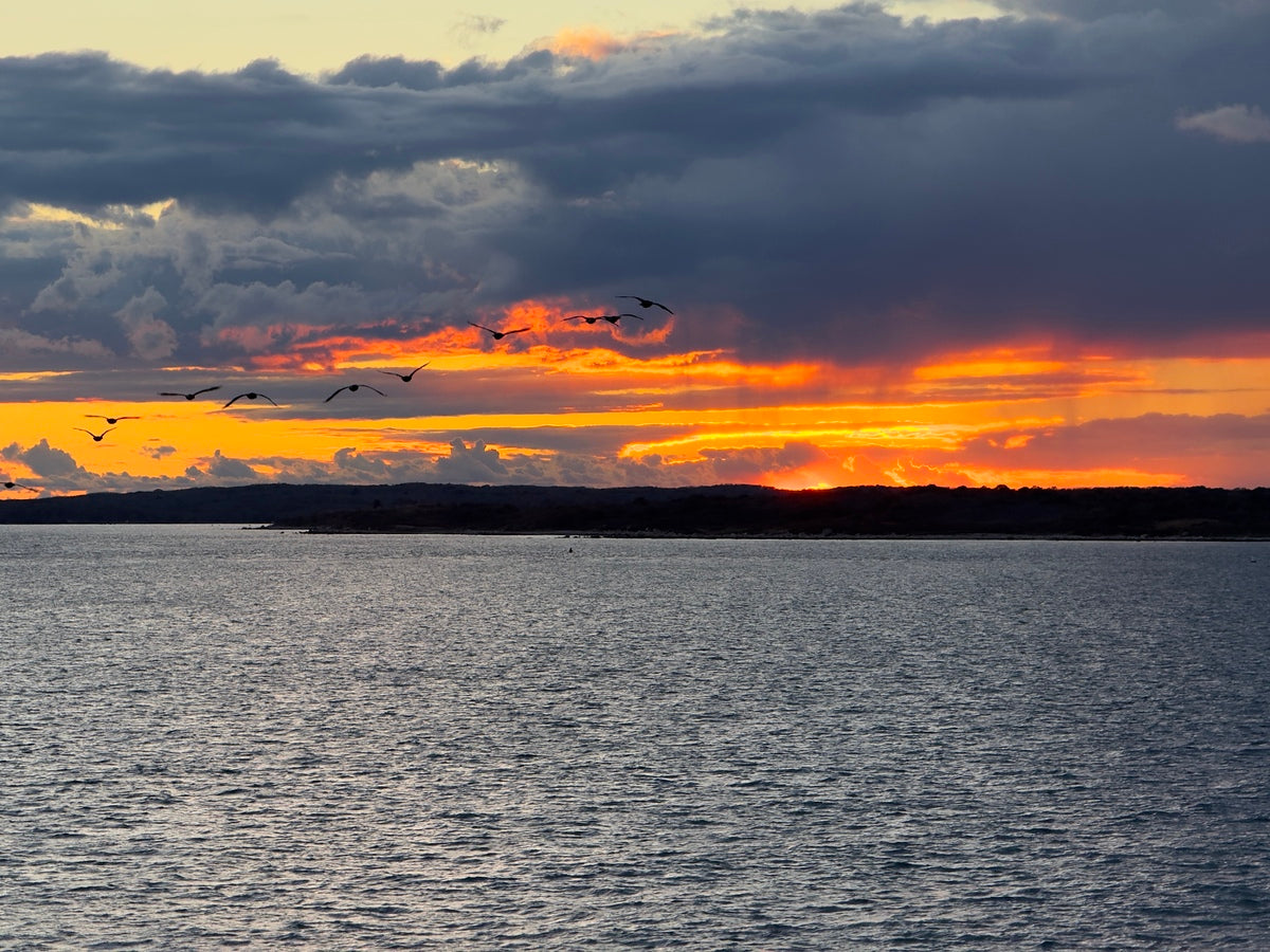 2477186 :: Giclée Fine Art Matte Paper Print