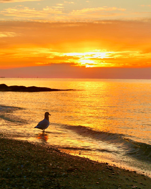 2483297 :: Giclée Poster Satin Photo Paper Print