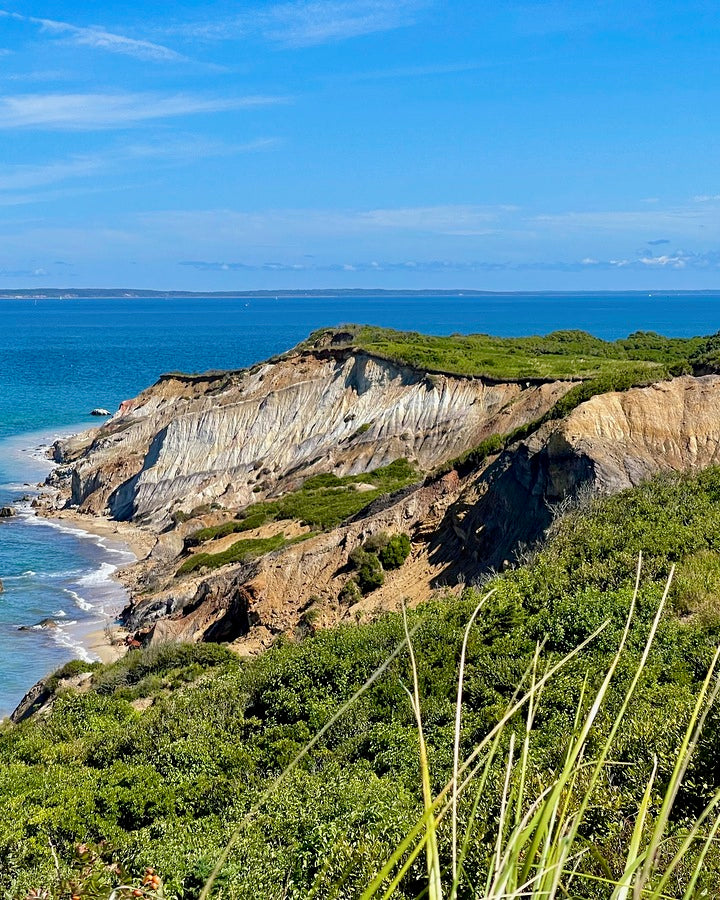 Giclee Rolled Canvas Print