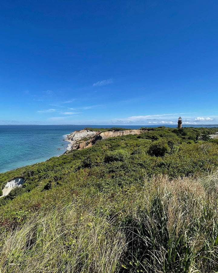 Giclee Rolled Canvas Print