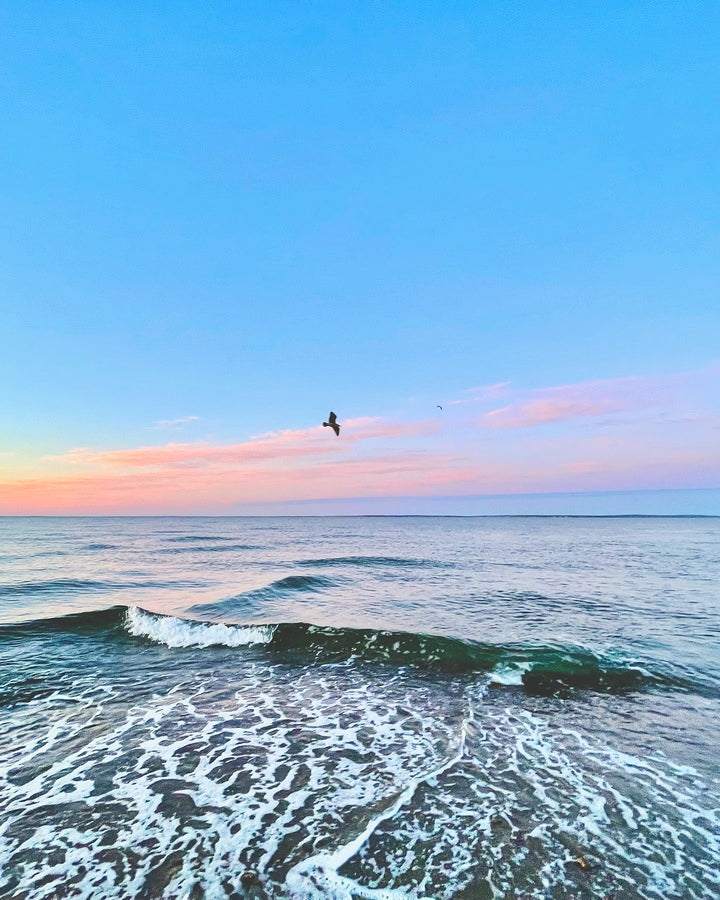 Giclee Rolled Canvas Print