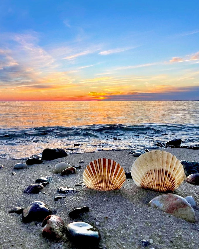 Giclee Fine Art Matte Paper Print