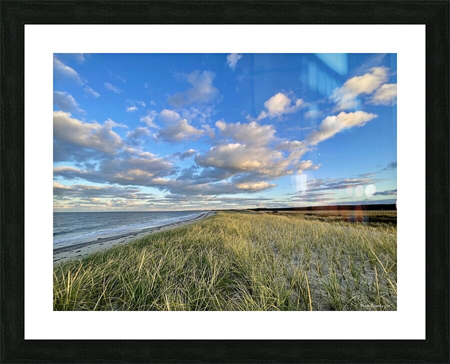 2375002 :: Framed Print