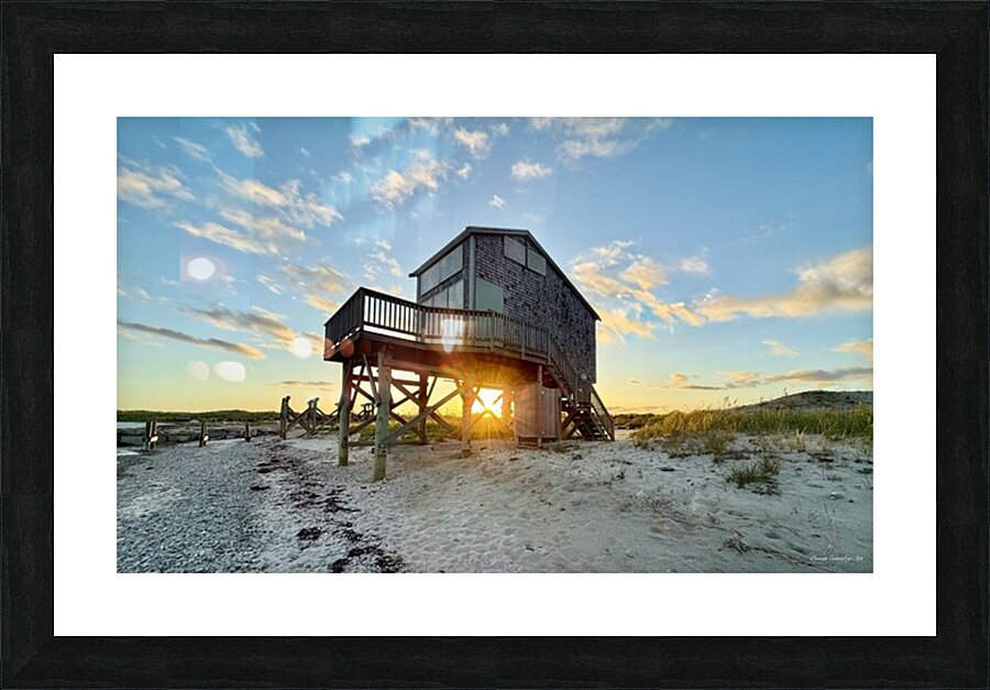 2375376 :: Framed Print