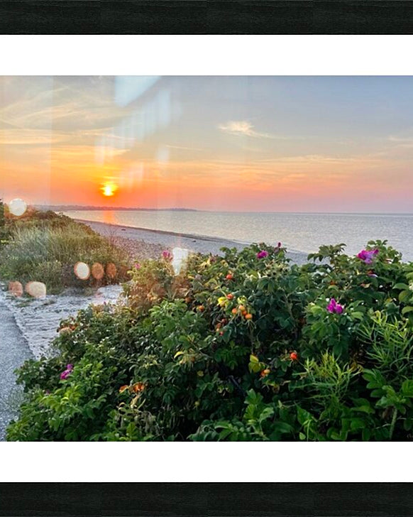 2380424 :: Framed Print