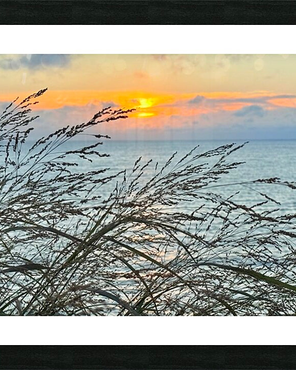 2454512 :: Framed Print