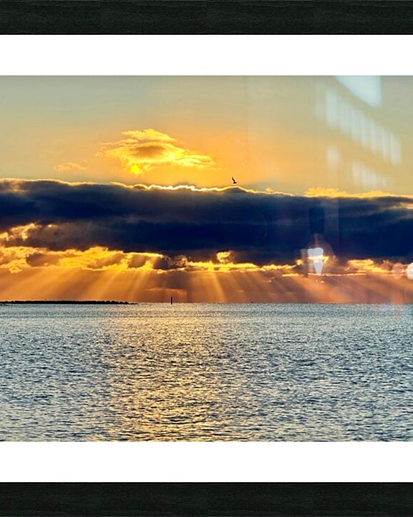 2472539 :: Framed Print