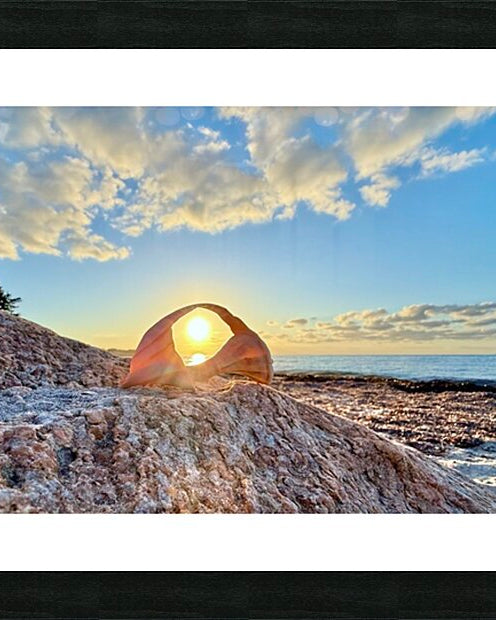 2473990 :: Framed Print