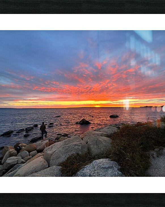 2474003 :: Framed Print