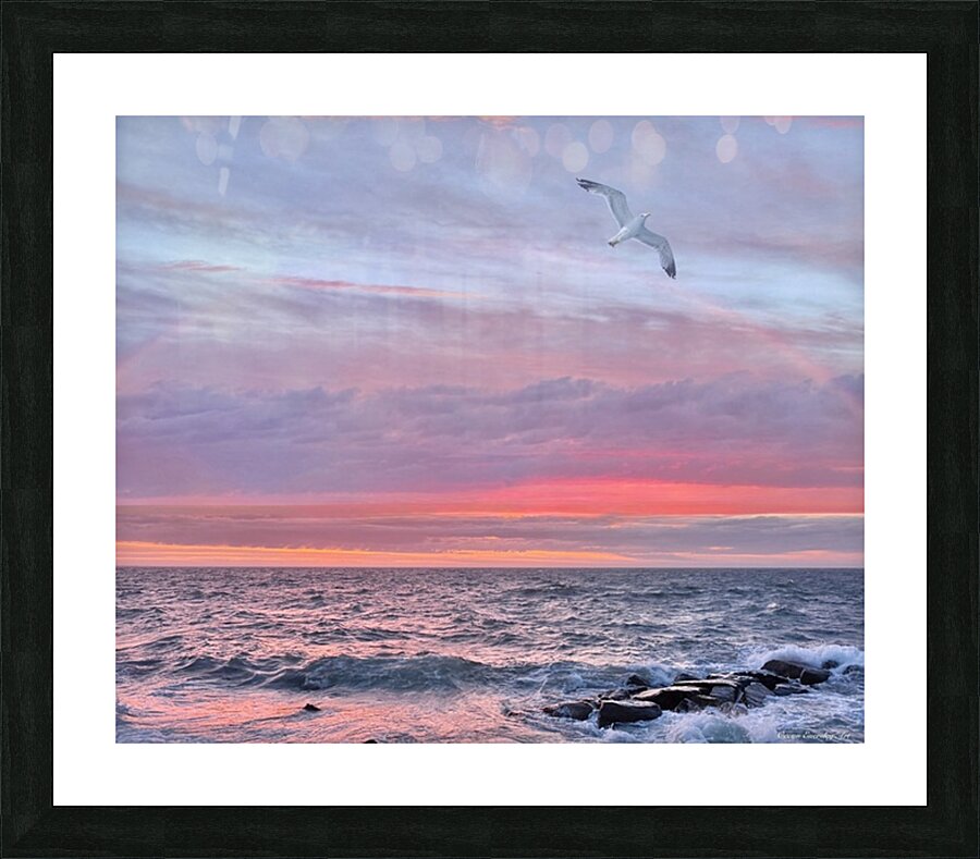 2479252 :: Framed Print