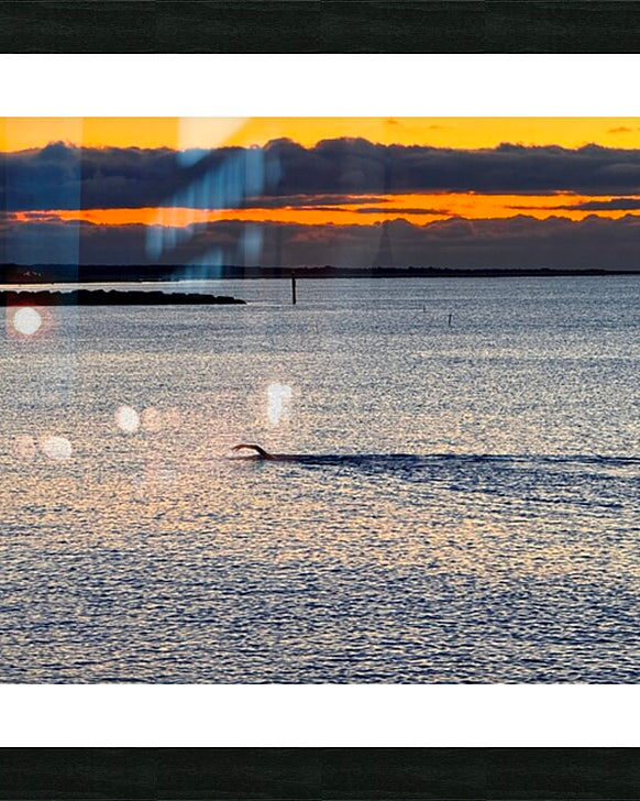 2479257 :: Framed Print