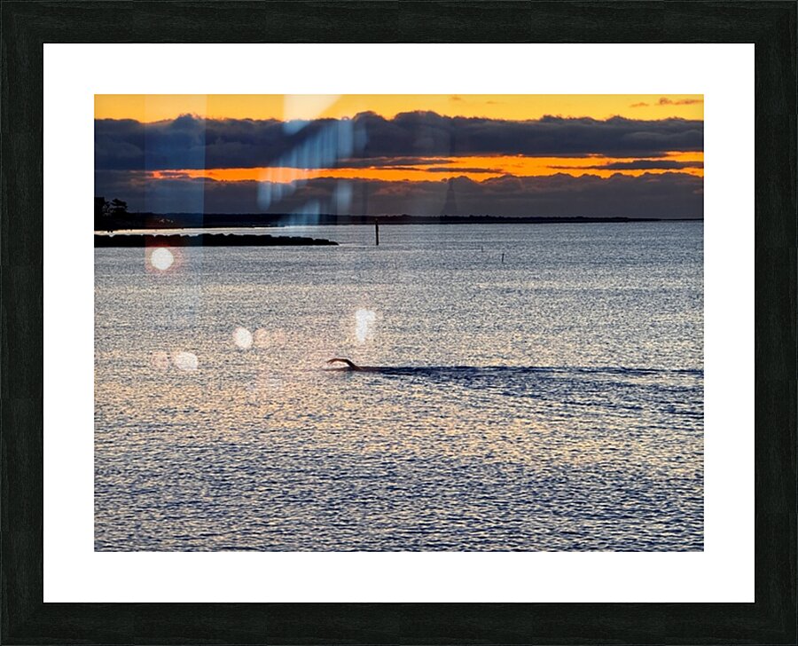 2479257 :: Framed Print