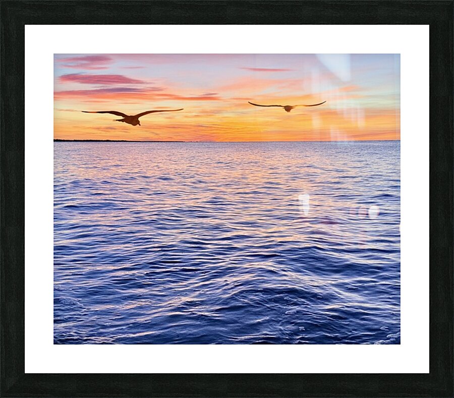 2487268 :: Framed Print