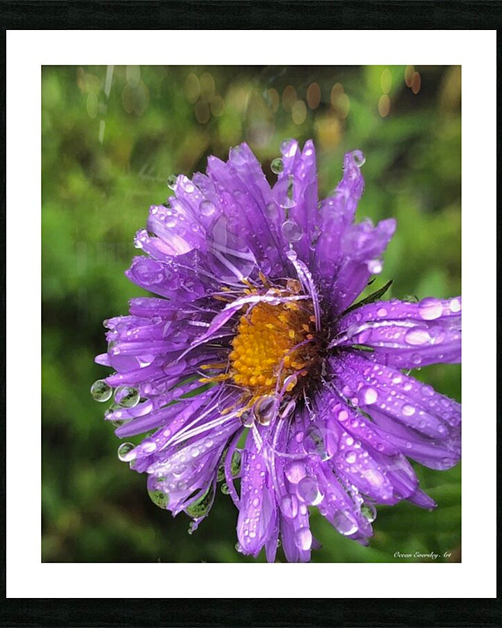 2495638 :: Framed Print